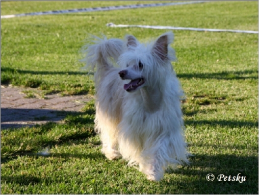 Club_09_023