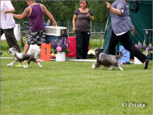 Club_09_531